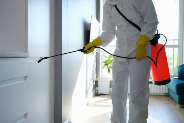 Professional Mold Removal in North Plainfield, NJ